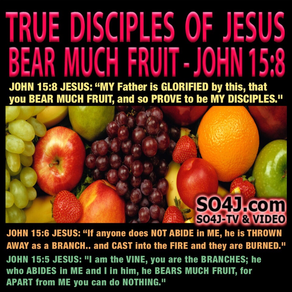 John 15:8 "My Father is Glorified by this, that you BEAR MUCH FRUIT, and so PROVE to be MY DISCIPLES." SO4J-TV - SO4J.com