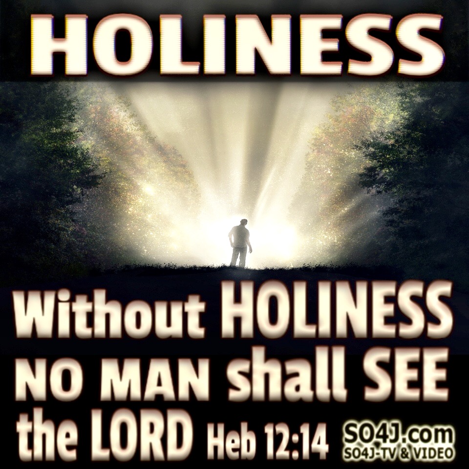 Without HOLINESS NO MAN shall SEE the LORD Hebrews 12:14 